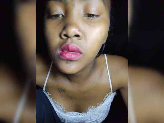 Stella11 webcam