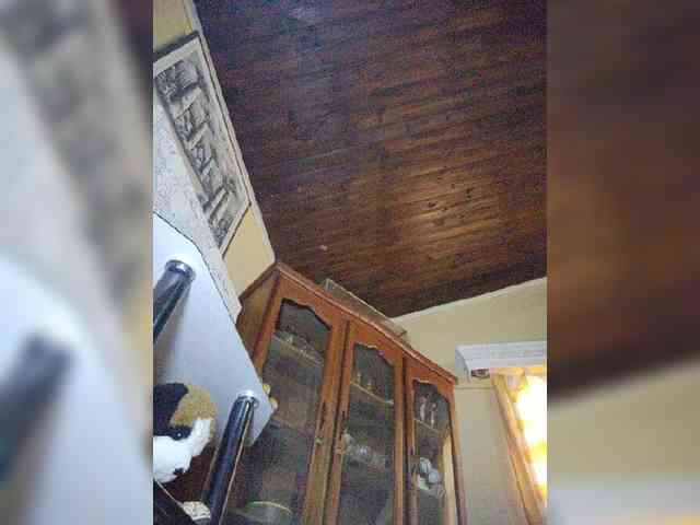 Stella11 webcam