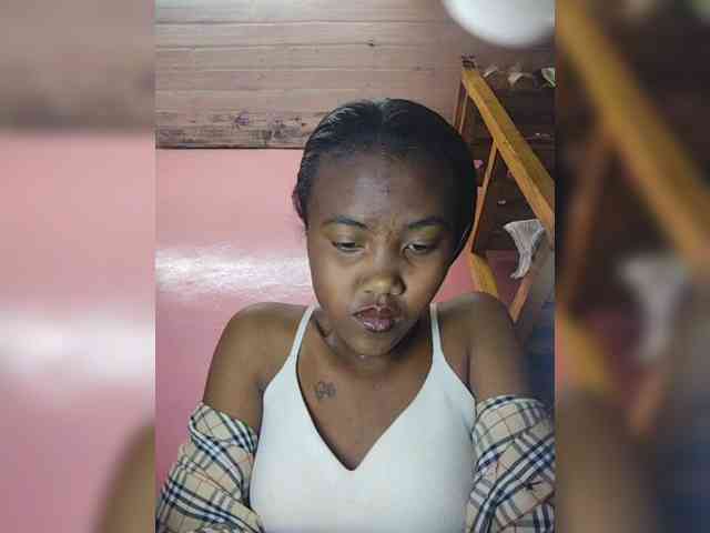 Stella11 webcam