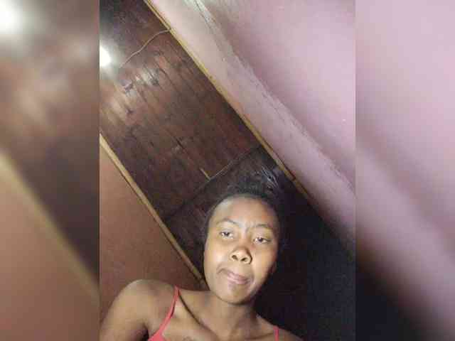 Stella11 webcam