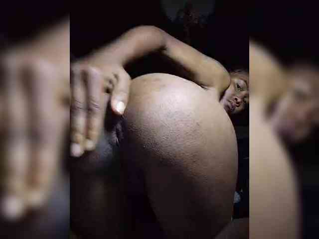 Stella11 webcam