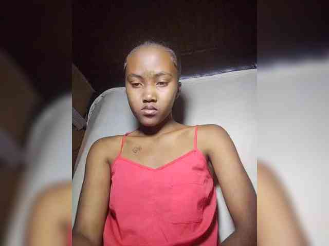 Stella11 webcam