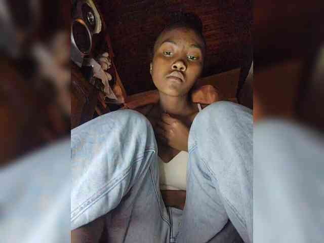 Stella11 webcam
