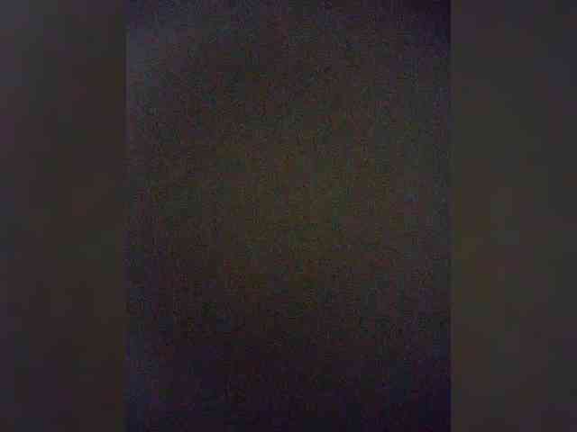 Stella11 webcam