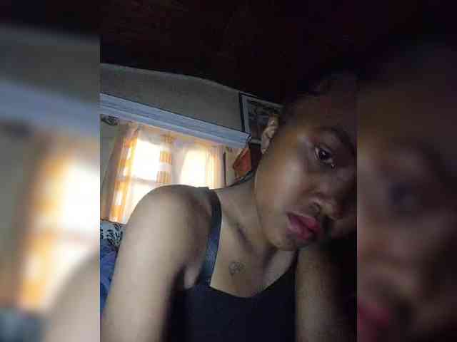 Stella11 webcam