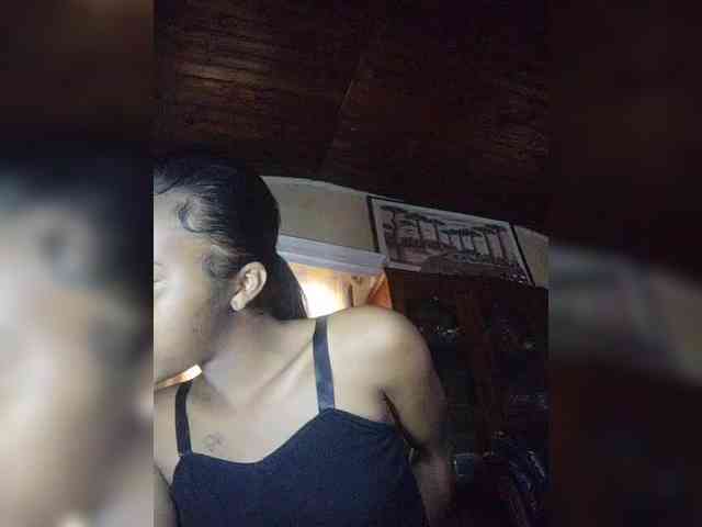 Stella11 webcam