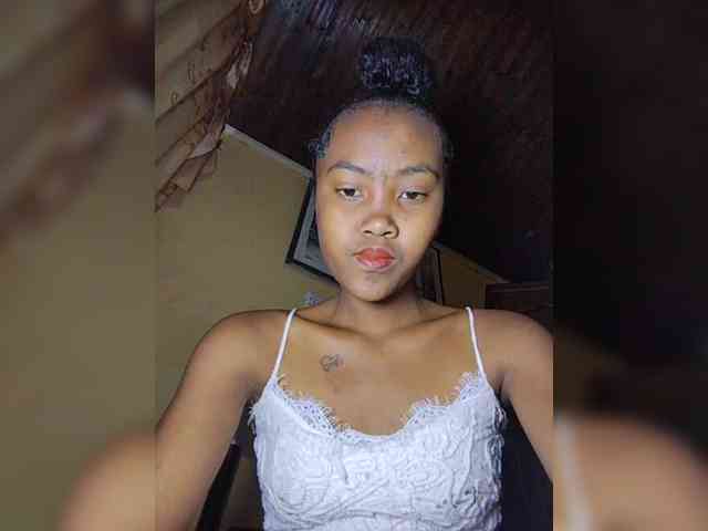 Stella11 webcam