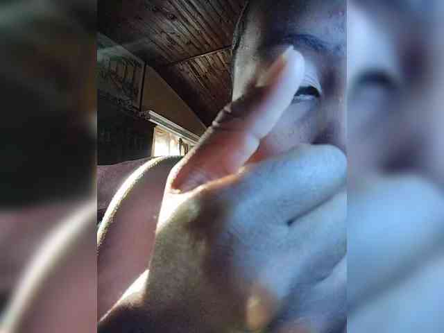 Stella11 webcam