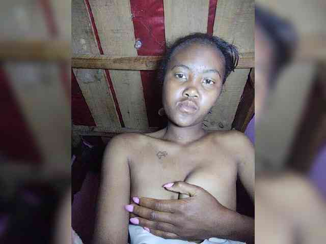 Stella11 webcam