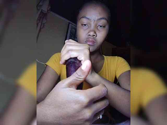 Stella11 webcam