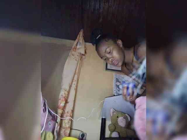 Stella11 webcam