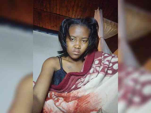 Stella11 webcam