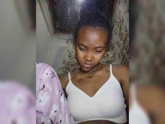 Stella11 webcam