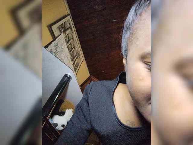 Stella11 webcam