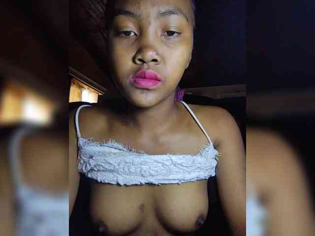 Stella11 webcam