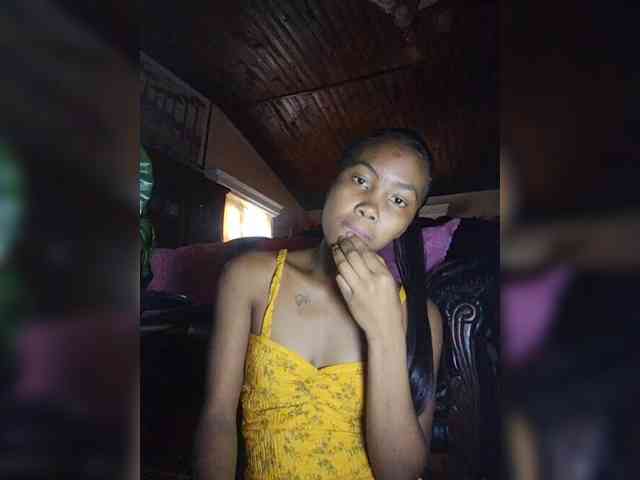 Stella11 webcam