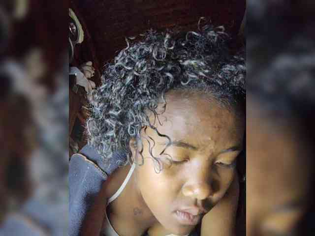 Stella11 webcam