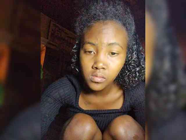 Stella11 webcam