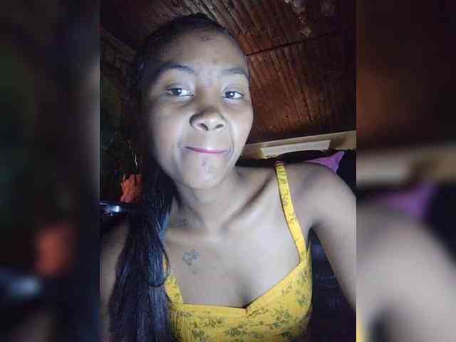 Stella11 webcam