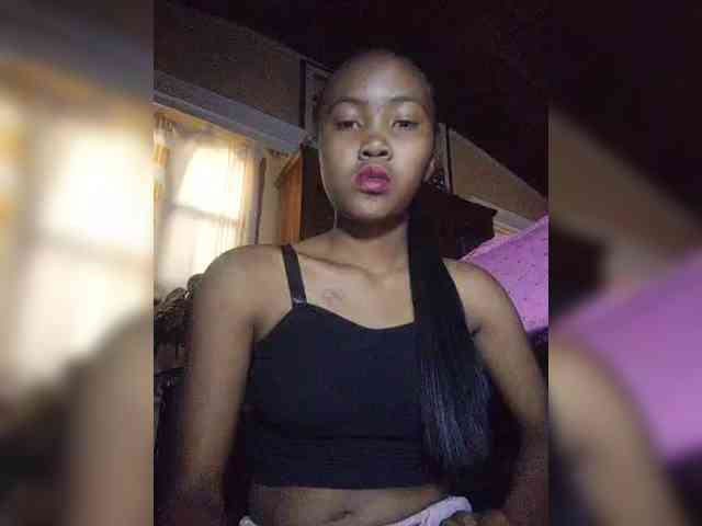 Stella11 webcam
