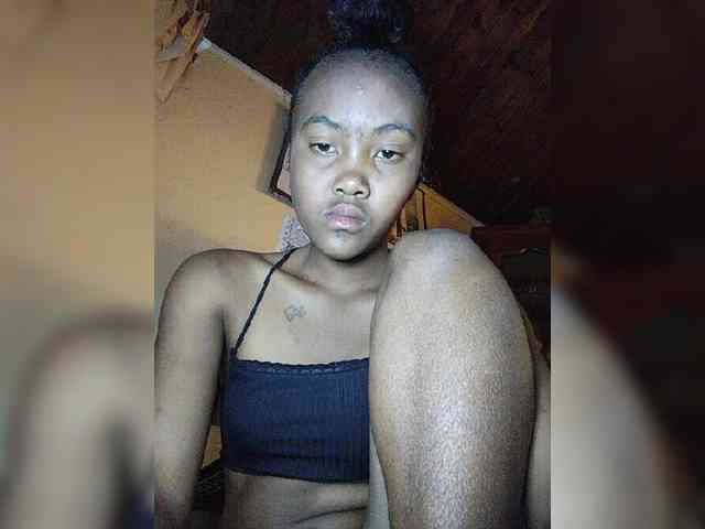 Stella11 webcam