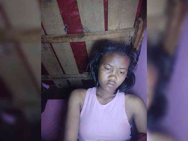 Stella11 webcam
