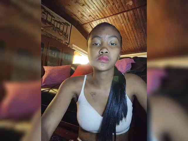 Stella11 webcam