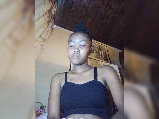 Stella11 webcam