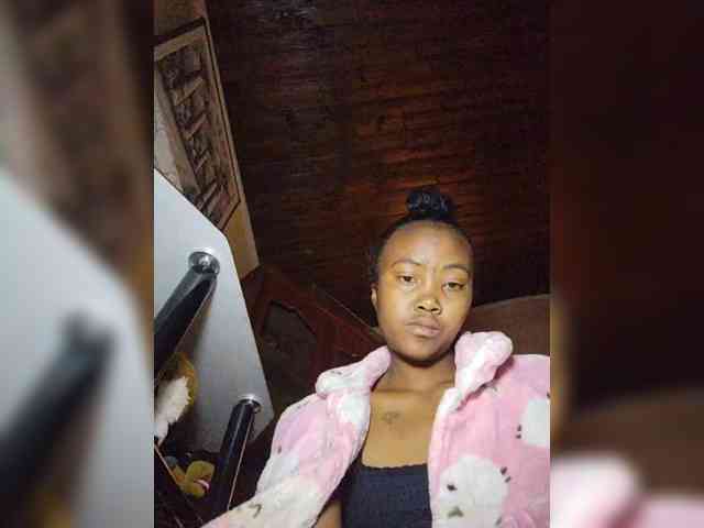 Stella11 webcam
