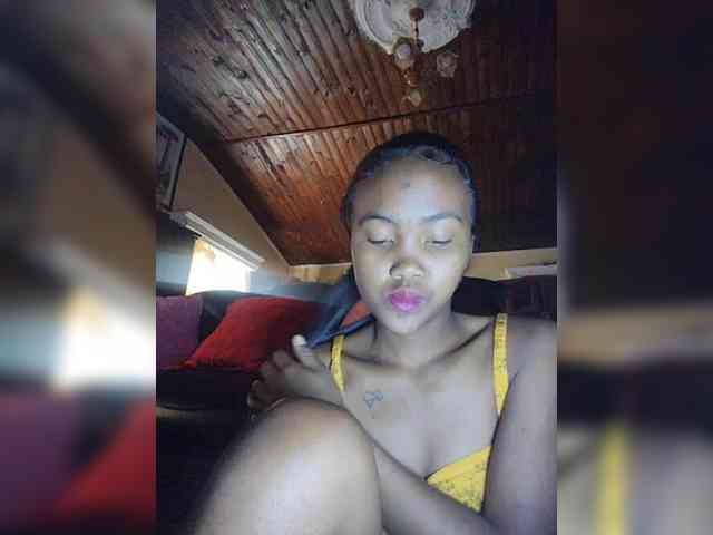 Stella11 webcam
