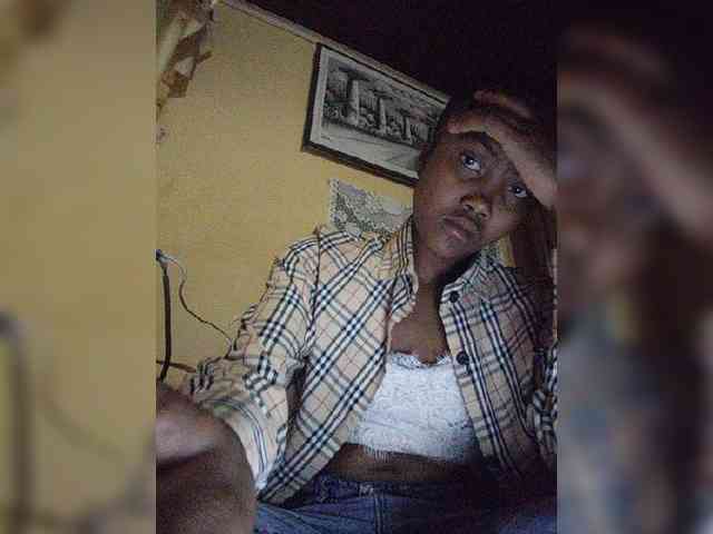 Stella11 webcam