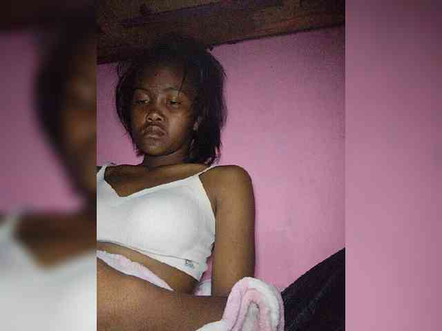 Stella11 webcam
