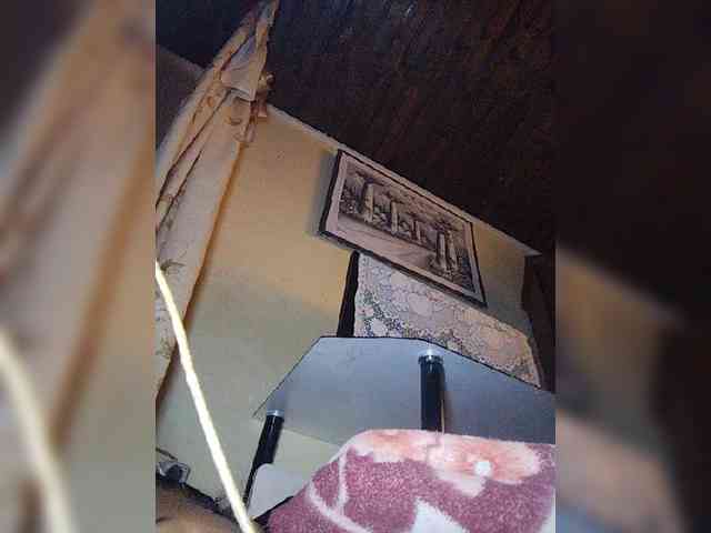 Stella11 webcam