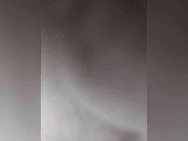 Stella11 webcam
