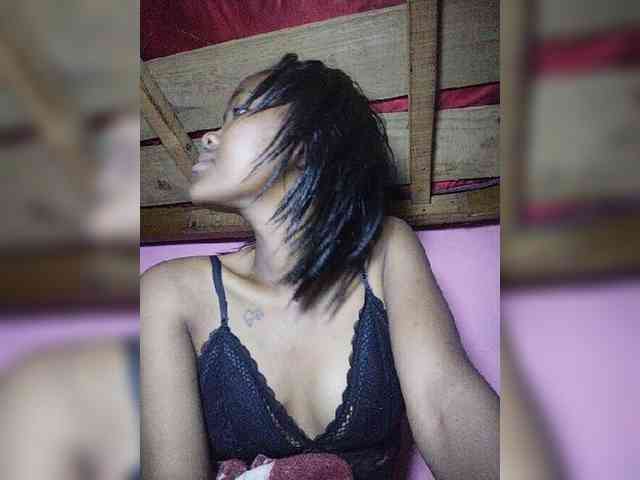 Stella11 webcam