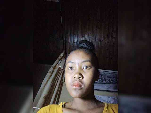 Stella11 webcam