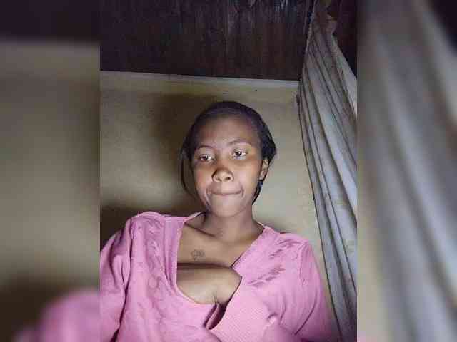 Stella11 webcam