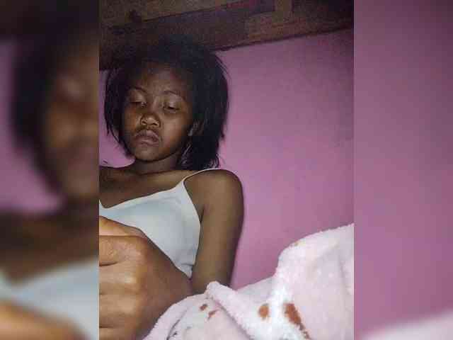 Stella11 webcam