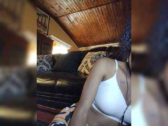 Stella11 webcam