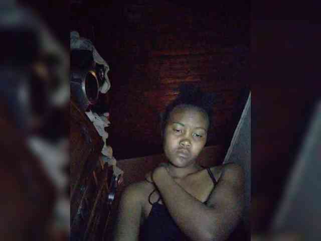 Stella11 webcam