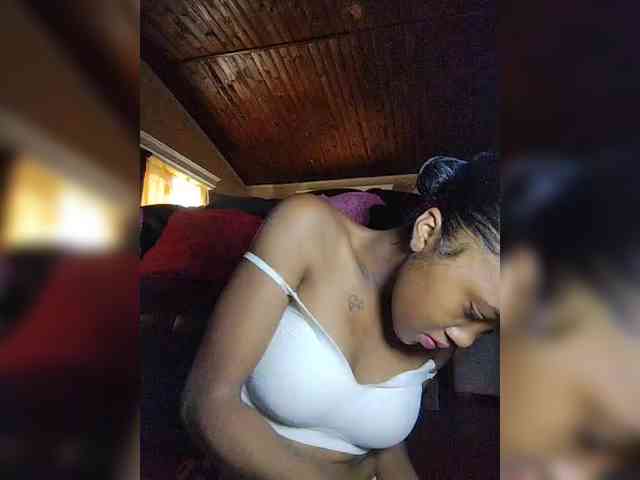 Stella11 webcam