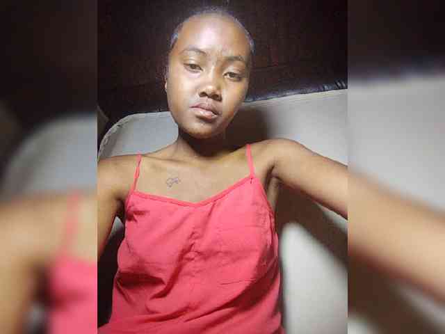 Stella11 webcam