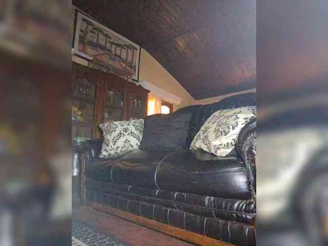 Stella11 webcam