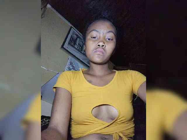 Stella11 webcam
