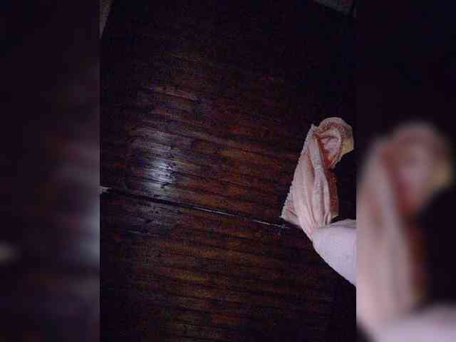 Stella11 webcam