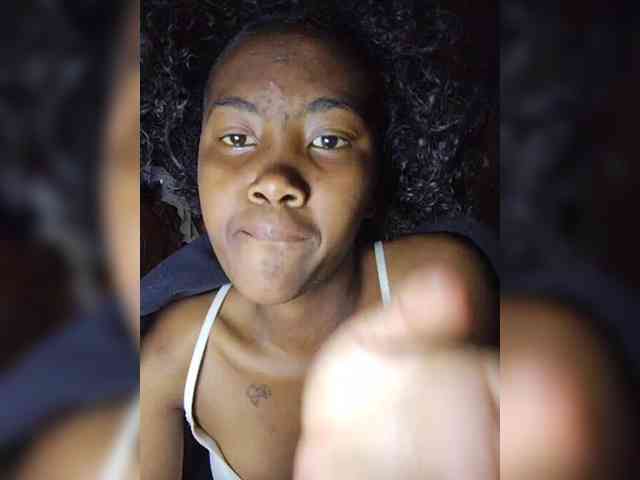 Stella11 webcam