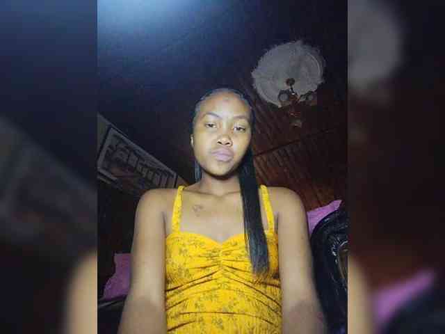 Stella11 webcam