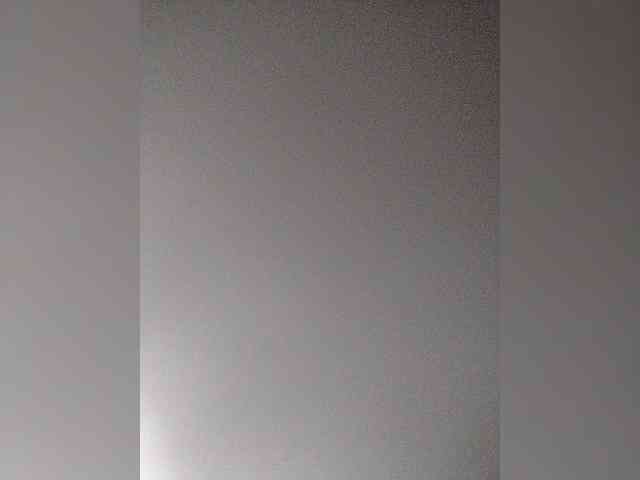 Stella11 webcam