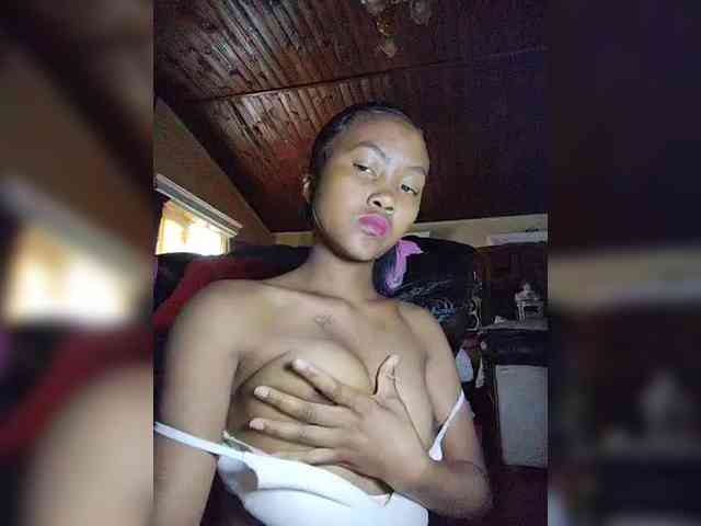 Stella11 webcam