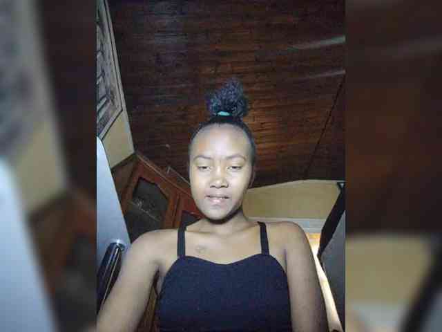 Stella11 webcam